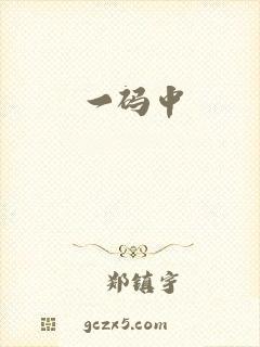 一码中